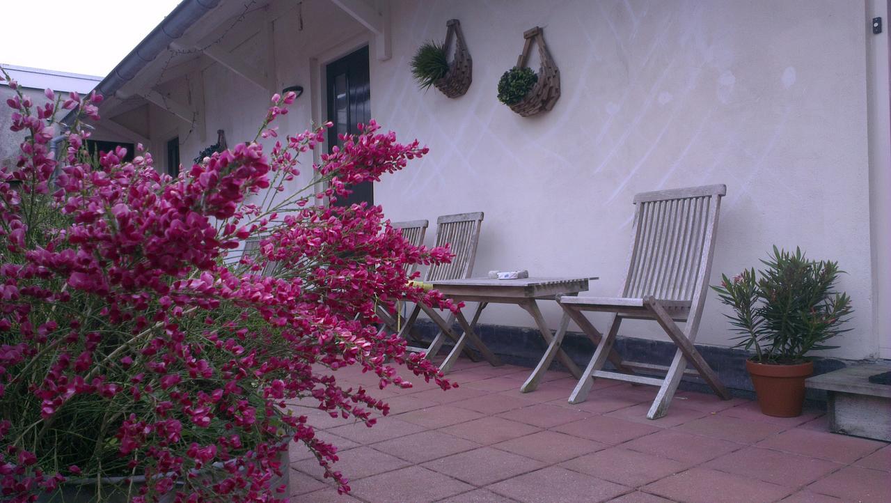 Oude Bildtzijl Logement 'De Witte Klok' מראה חיצוני תמונה
